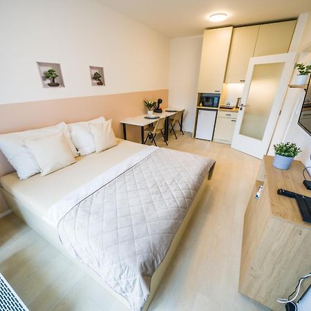 Street Apartments Brno Center מראה חיצוני תמונה
