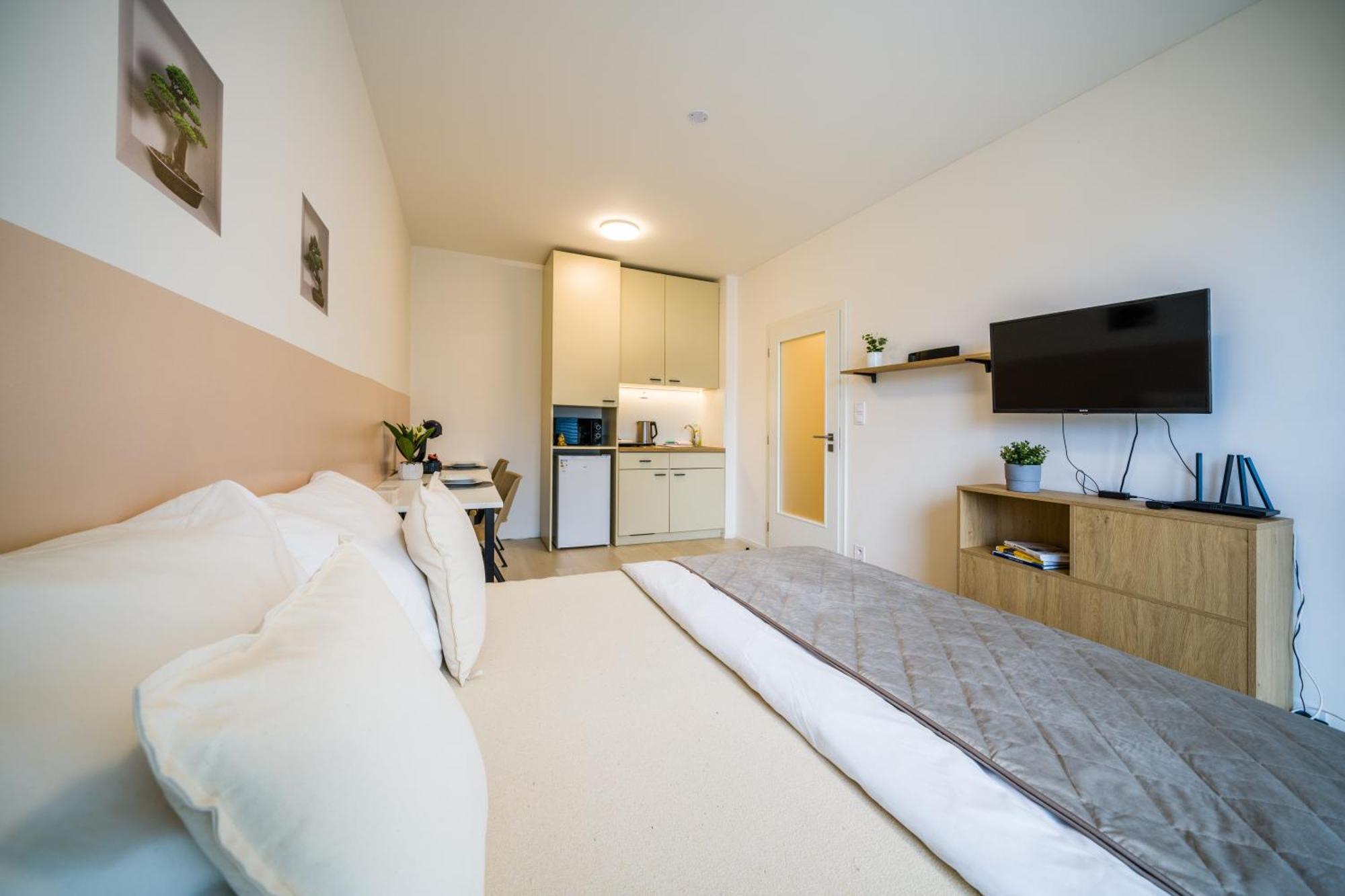 Street Apartments Brno Center מראה חיצוני תמונה