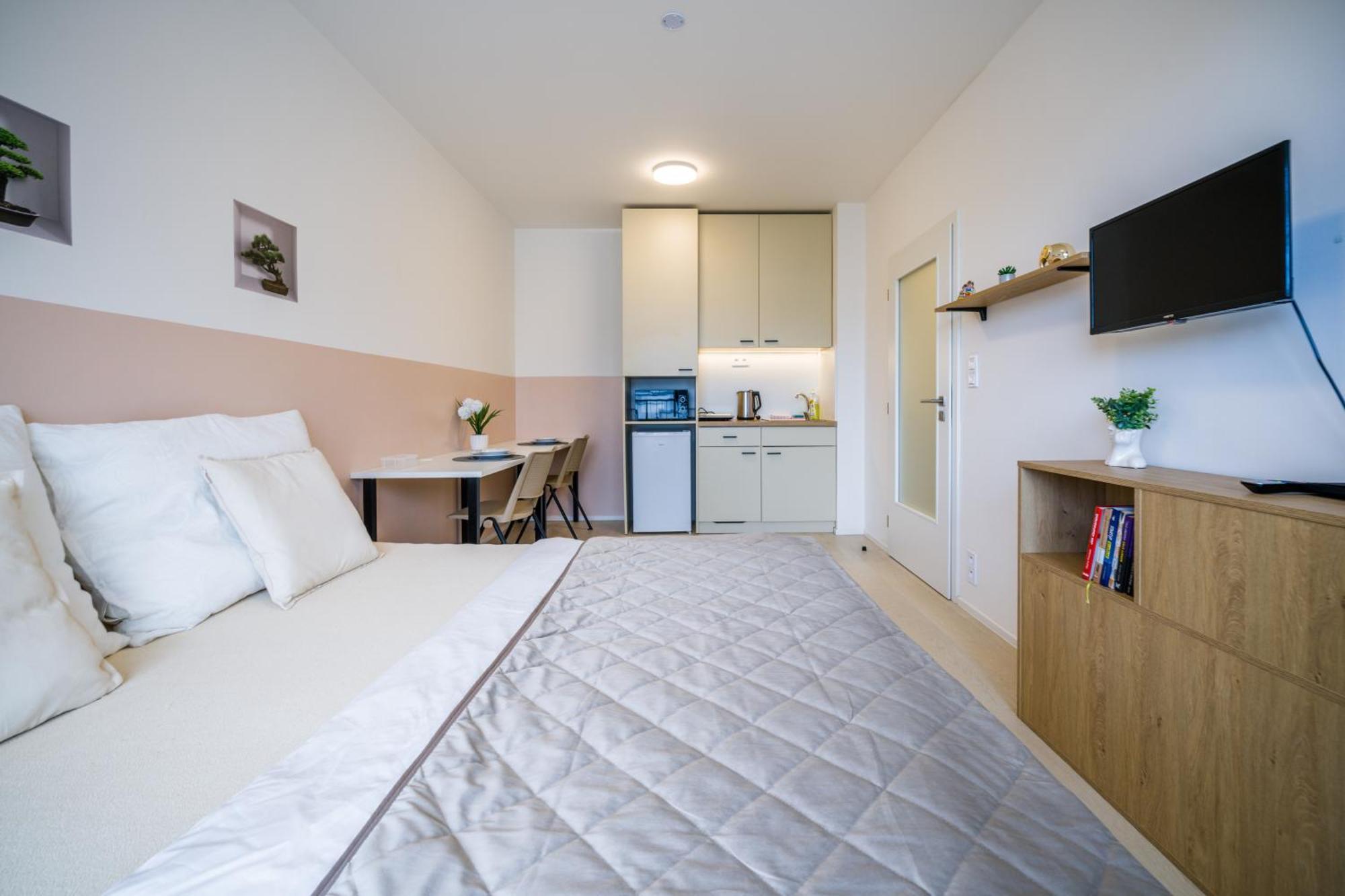 Street Apartments Brno Center מראה חיצוני תמונה